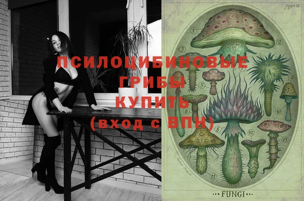 MESCALINE Гусиноозёрск